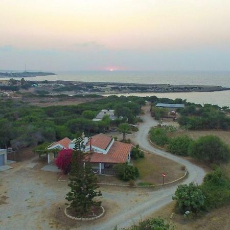 Balci Plaza Hotel&Balci Plaza guest Bungalows Karpaz peninsula Selenias Exterior foto