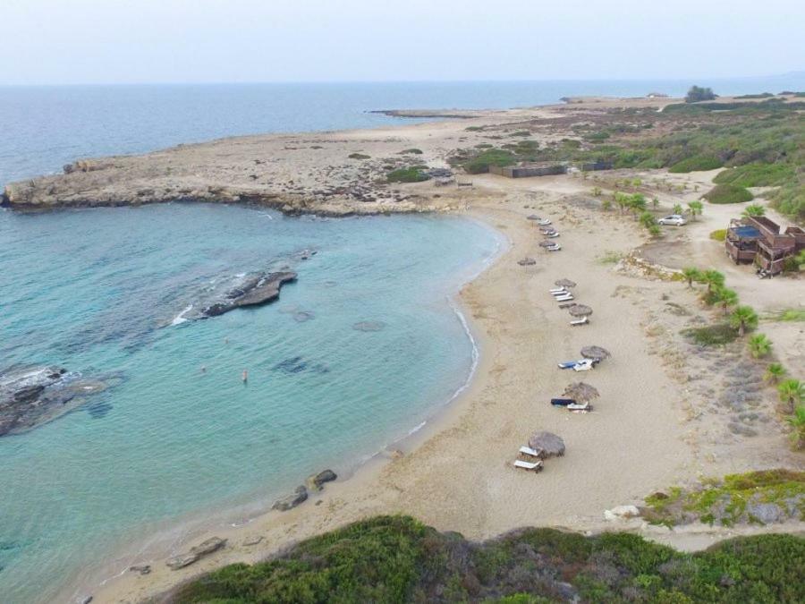 Balci Plaza Hotel&Balci Plaza guest Bungalows Karpaz peninsula Selenias Exterior foto