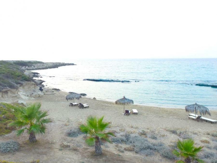 Balci Plaza Hotel&Balci Plaza guest Bungalows Karpaz peninsula Selenias Exterior foto
